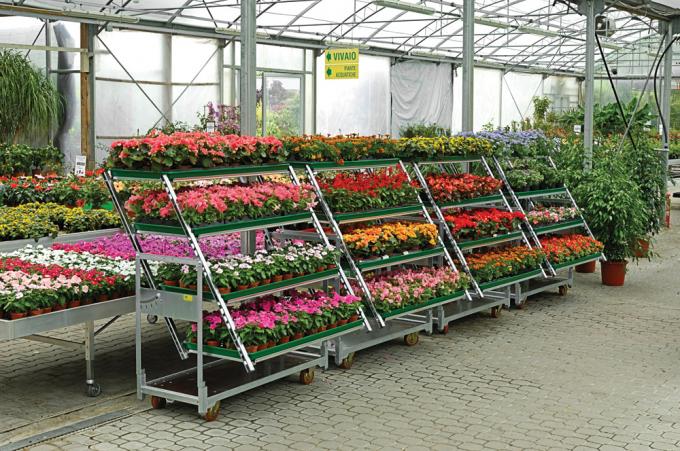 Flower trolleys are expected to develop “tipping points”